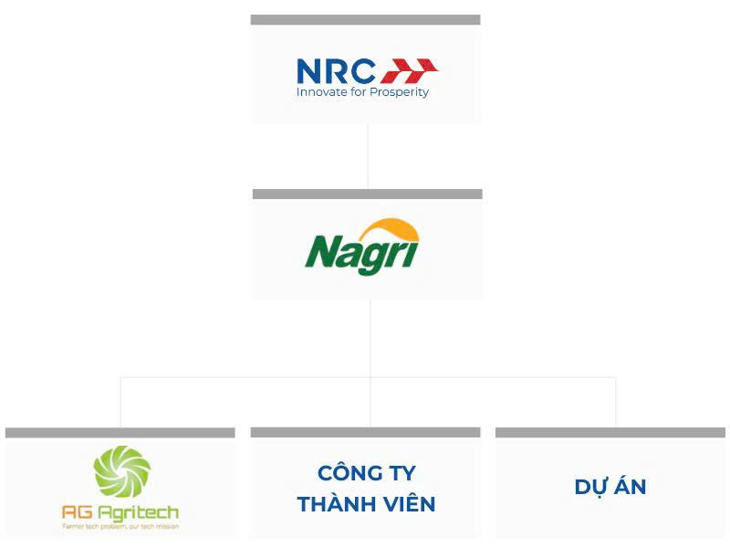 Sơ Đồ Tổ Chức