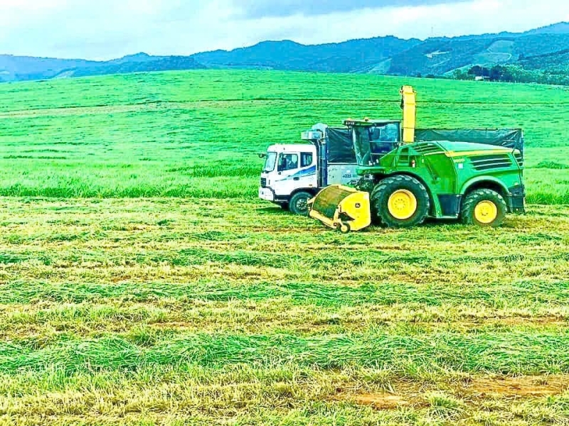 tao sinh ke ben vung tu lien ket chan nuoi va trong rung nguyen lieu