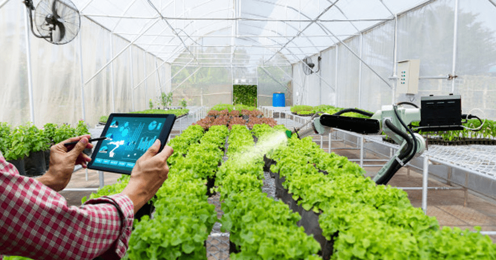Nông nghiệp CNC