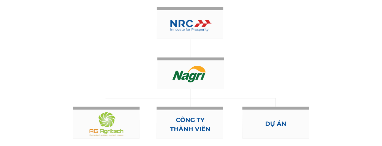 Sơ Đồ Tổ Chức
