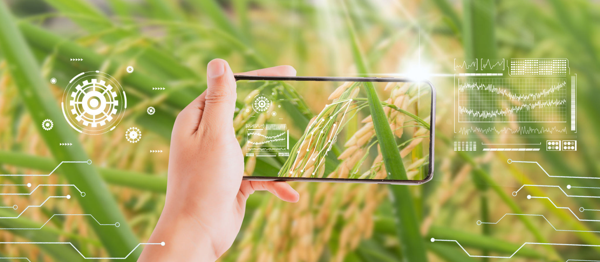 KẾT NỐI CÔNG NGHỆ - NÂNG TẦM NÔNG SẢN VIỆT